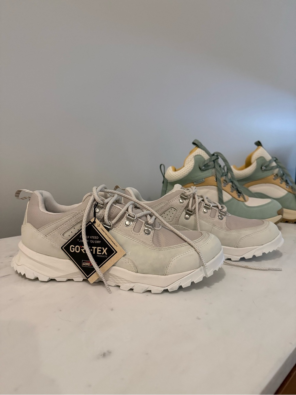 GORE-TEX Timberland Waterproof Hiking Boots and Shoes